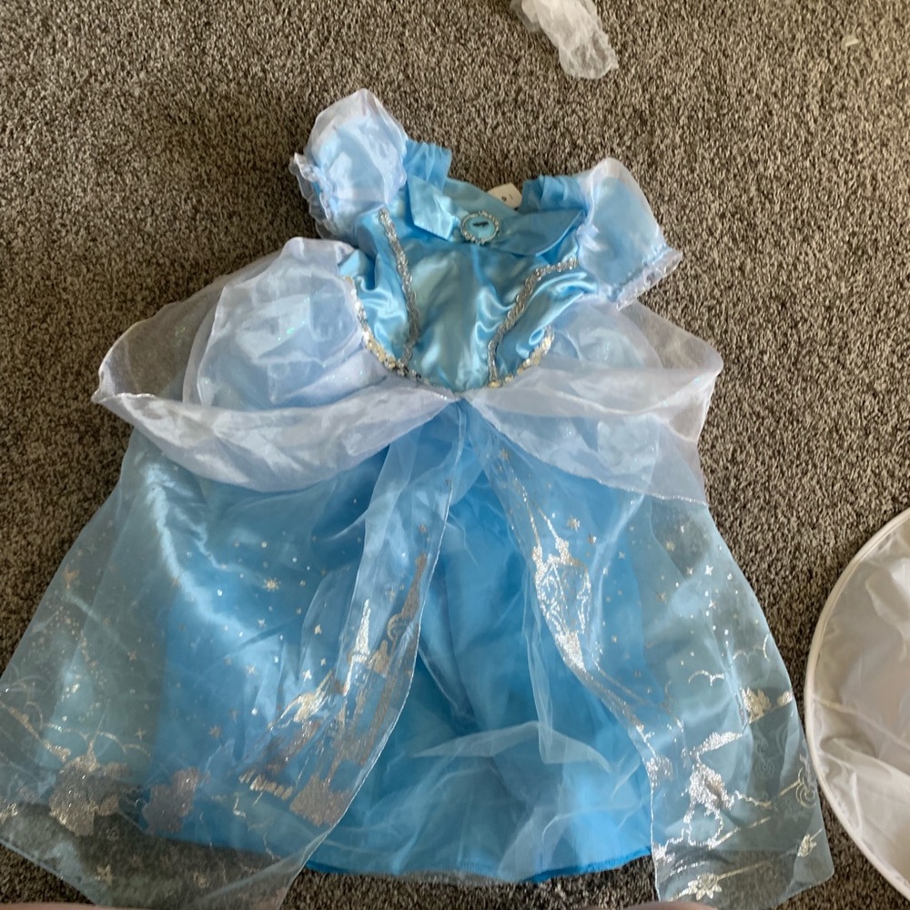 Cinderella Halloween costume